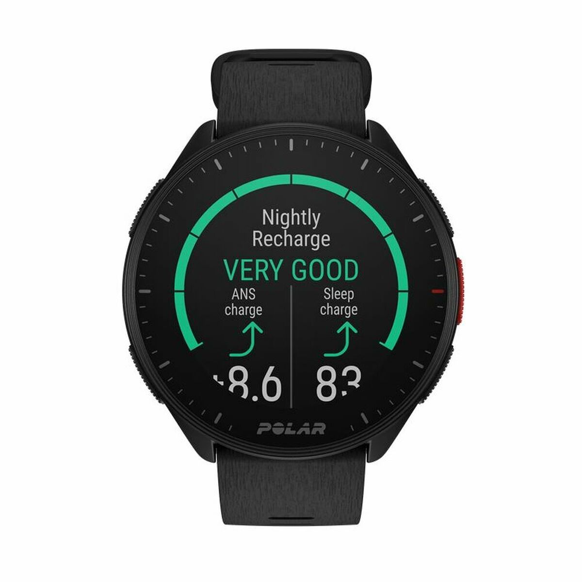 Smartwatch com Pedómetro Polar Preto 1,2" Ø 45 mm