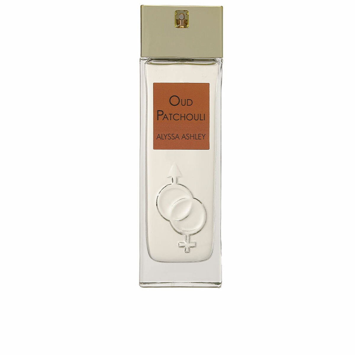 Perfume Unissexo Alyssa Ashley Oud Patchouli EDP EDP 100 ml