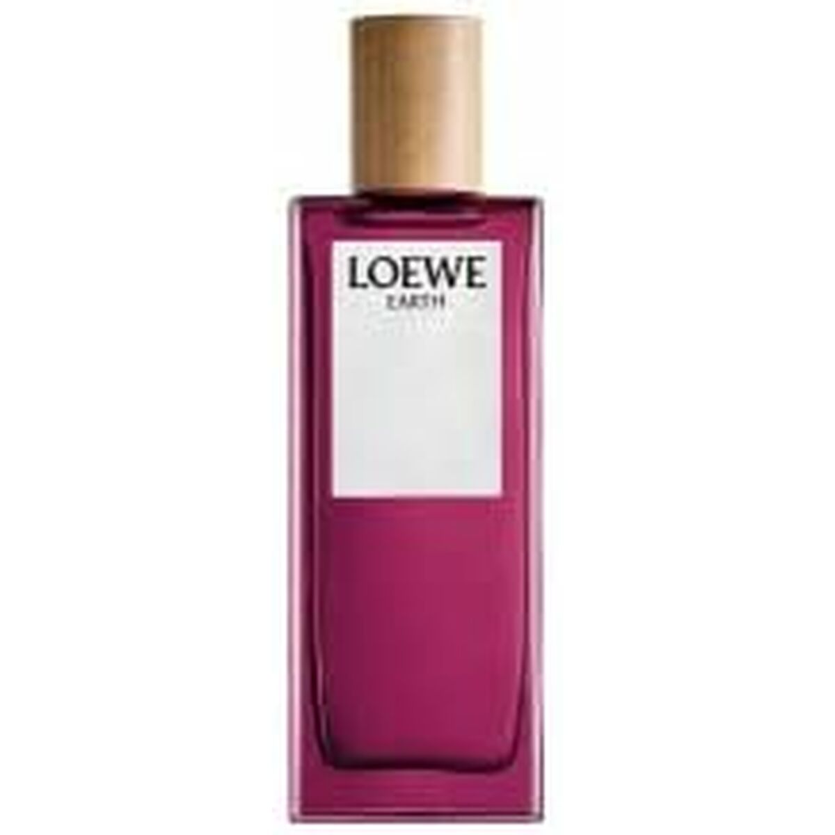 Loewe Earth Unisex Perfume 50 ml